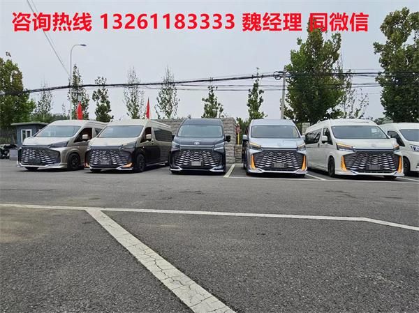 V 海狮9座大尺寸商务车卖价k8凯发进口丰田海狮蓝牌MP(图3)